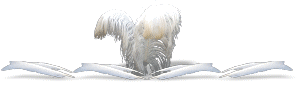 feathers feathers feathers feathers