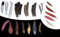 feathers-assorted.zip